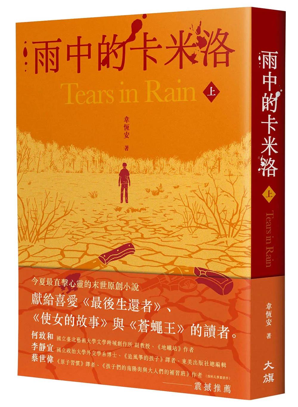 雨中的卡米洛（上）