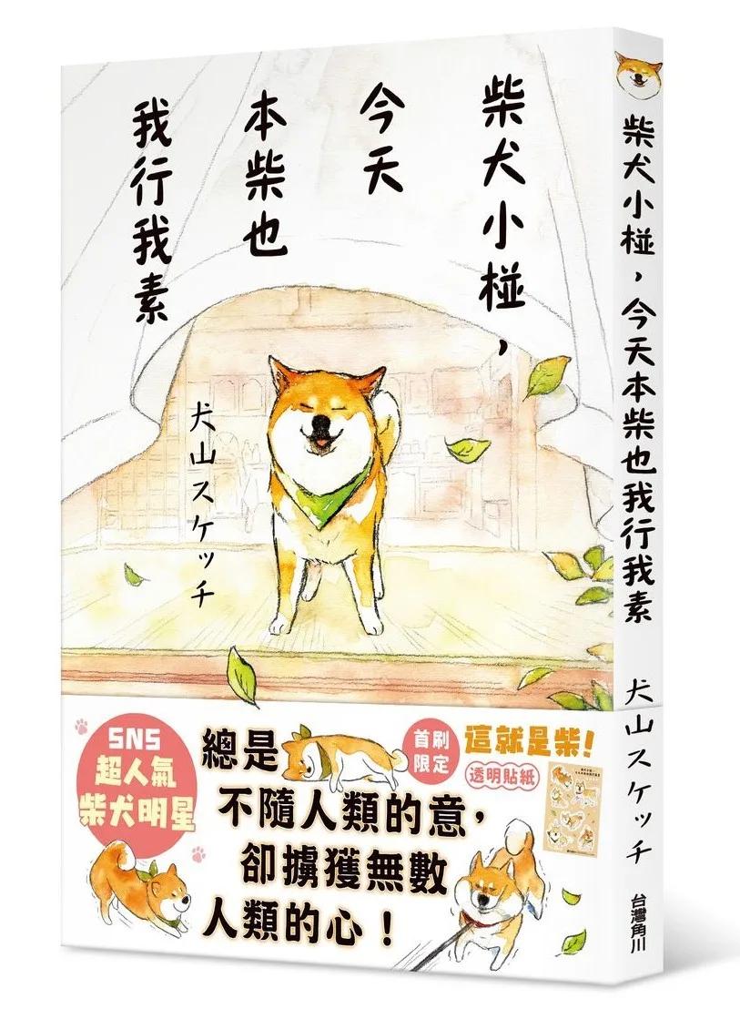 柴犬小椪，今天本柴也我行我素