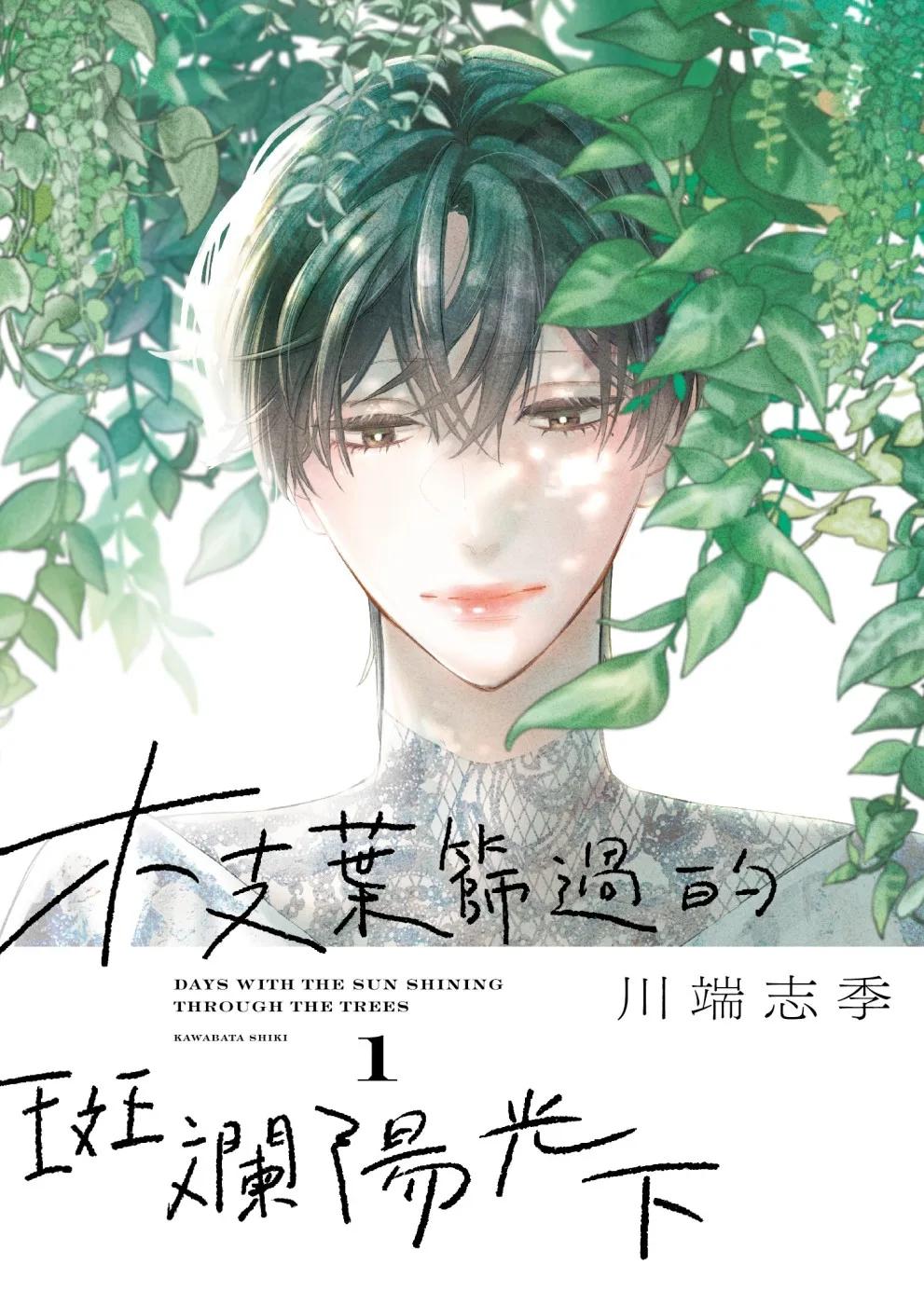 枝葉篩過的斑斕陽光下 1