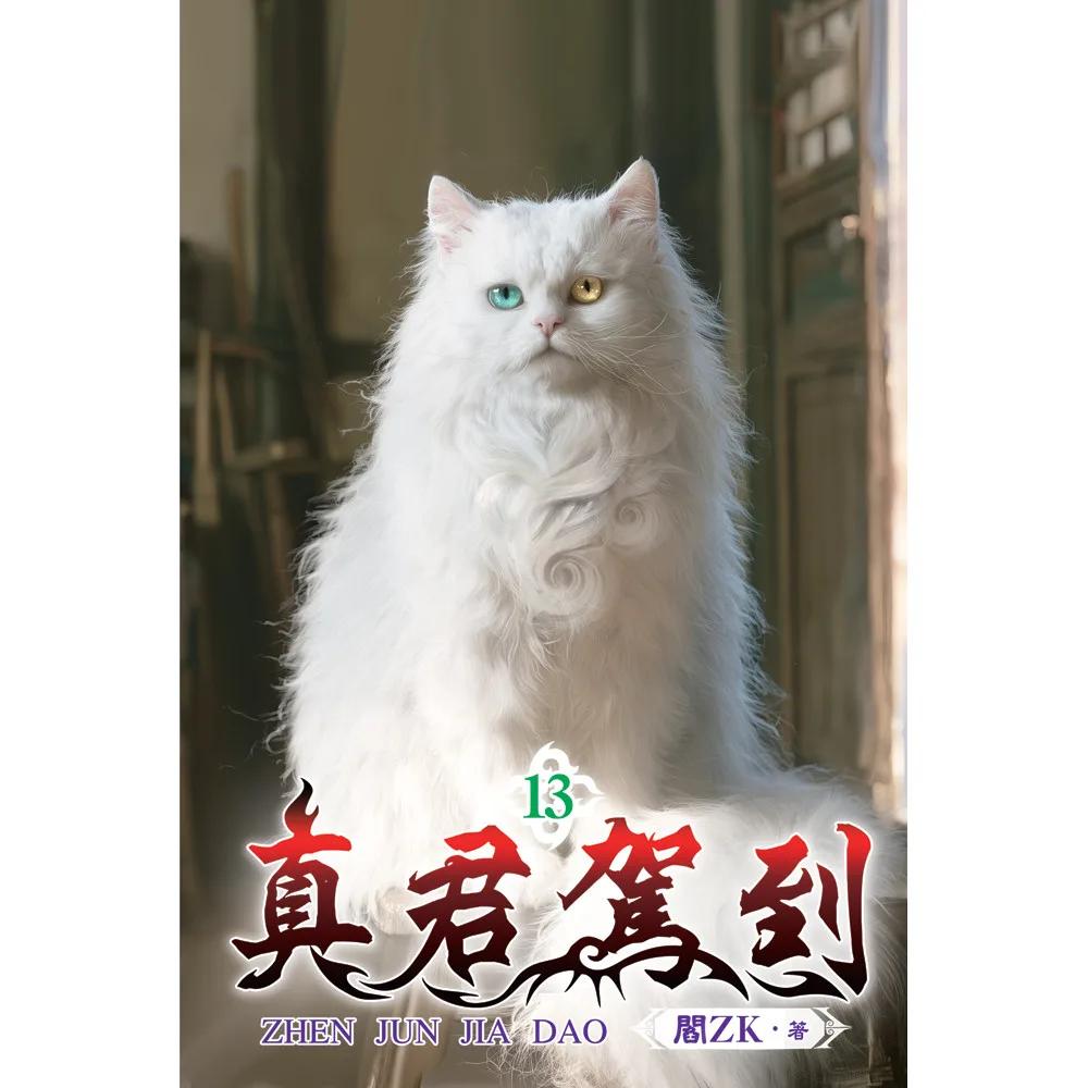 真君駕到13