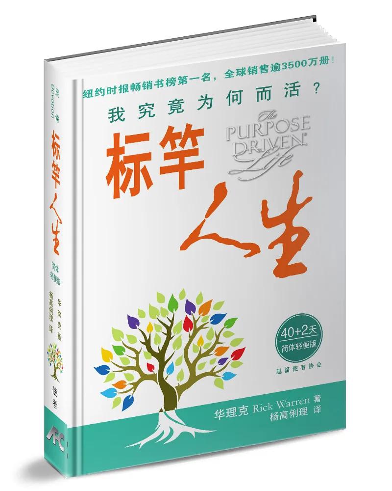 標竿人生(40＋2簡體輕便版)(精裝)：我究竟為何而活？