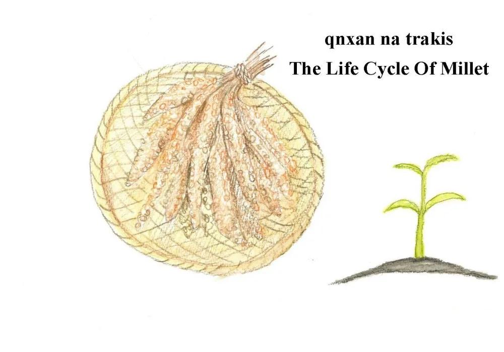 qnxan na trakis 小米的一生