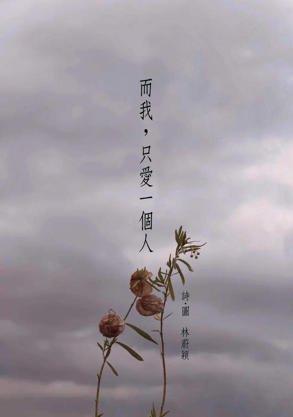 而我，只愛一個人