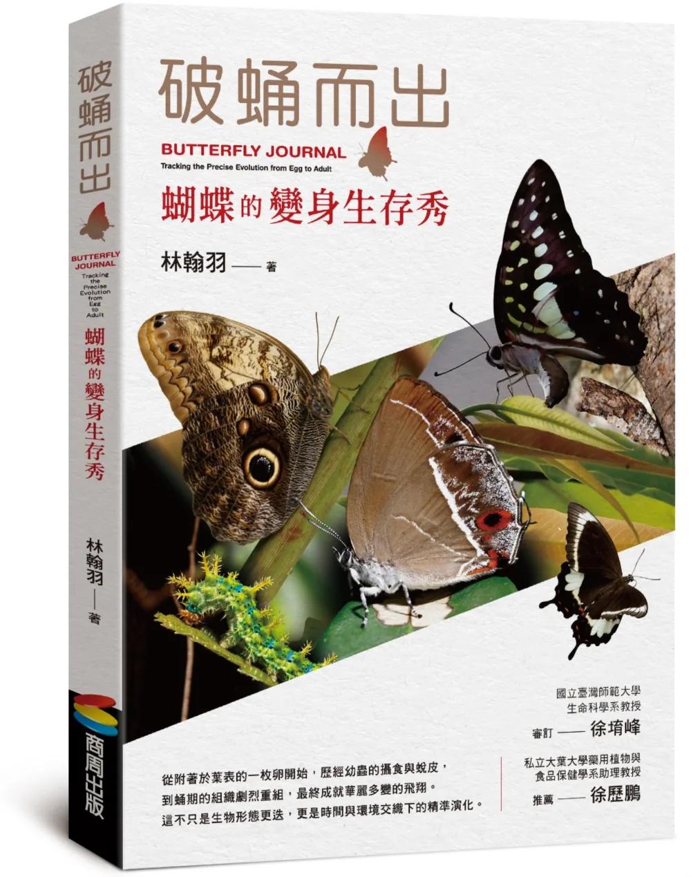破蛹而出：蝴蝶的變身生存秀