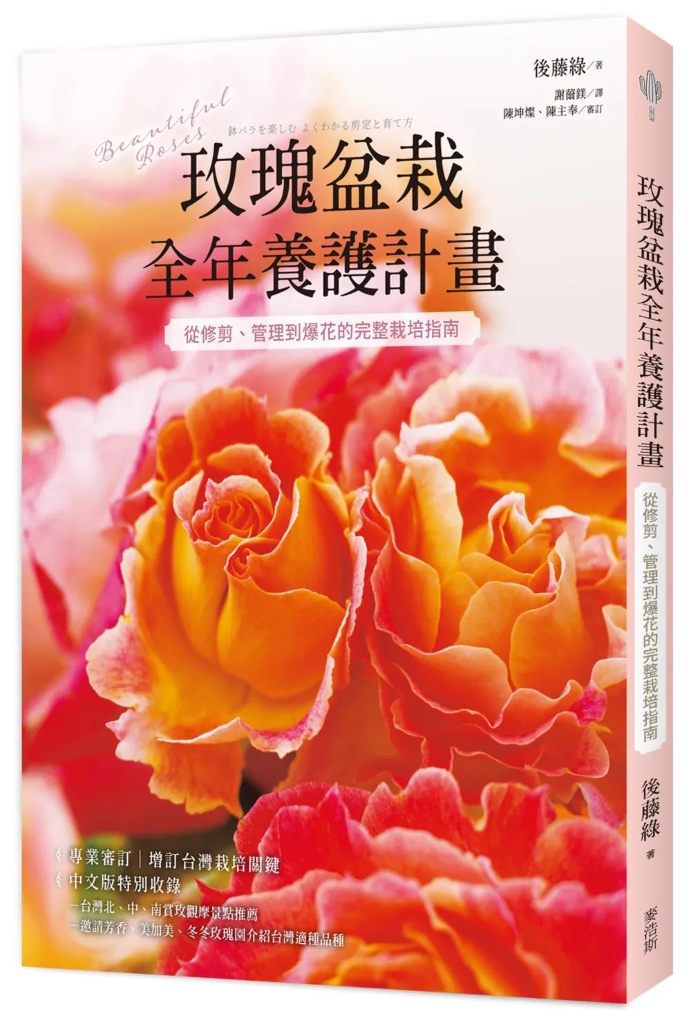 玫瑰盆栽全年養護計畫：從修剪、管理到爆花的完整栽培指南