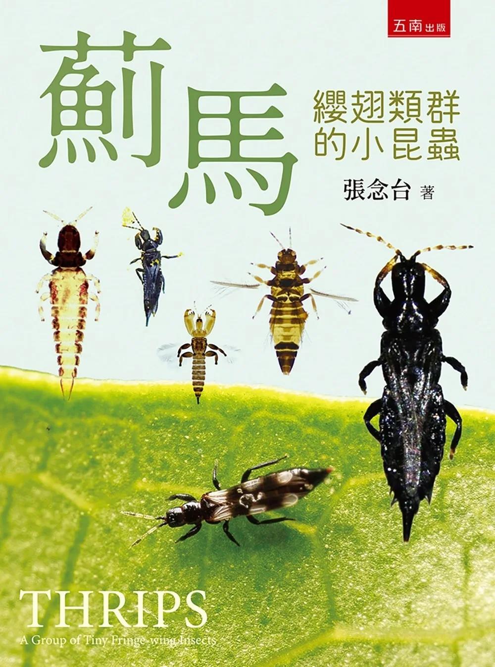 薊馬：纓翅類群的小昆蟲