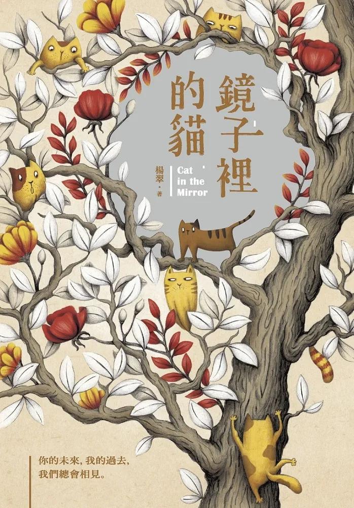 鏡子裡的貓