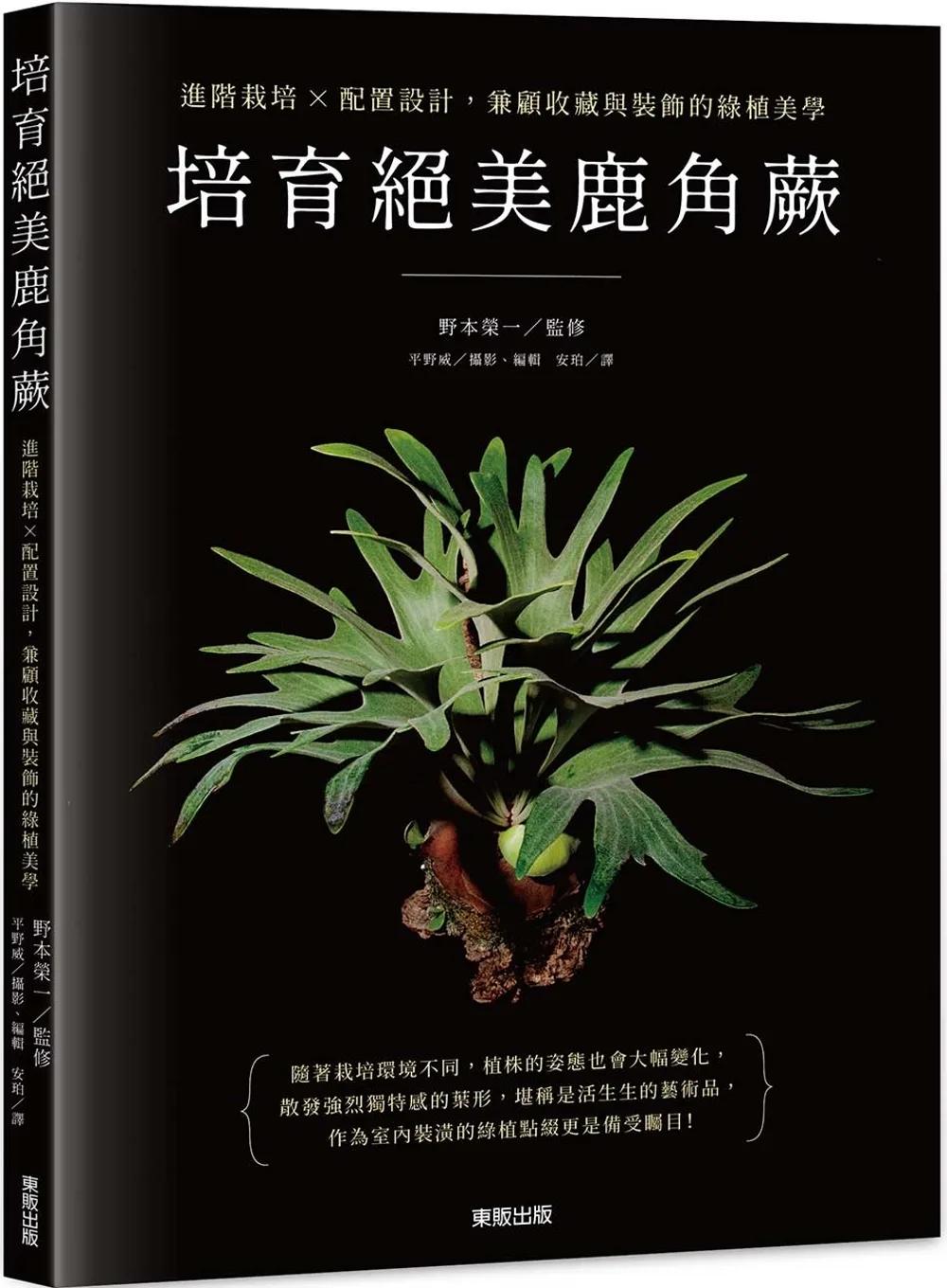 培育絕美鹿角蕨：進階栽培×配置設計，兼顧收藏與裝飾的綠植美學