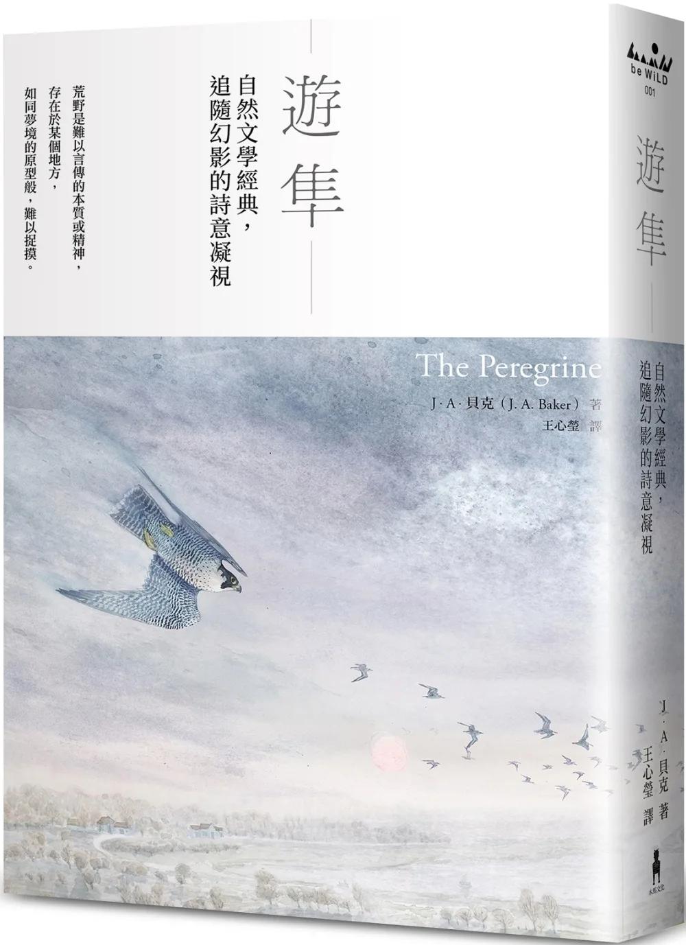 遊隼：自然文學經典，追隨幻影的詩意凝視