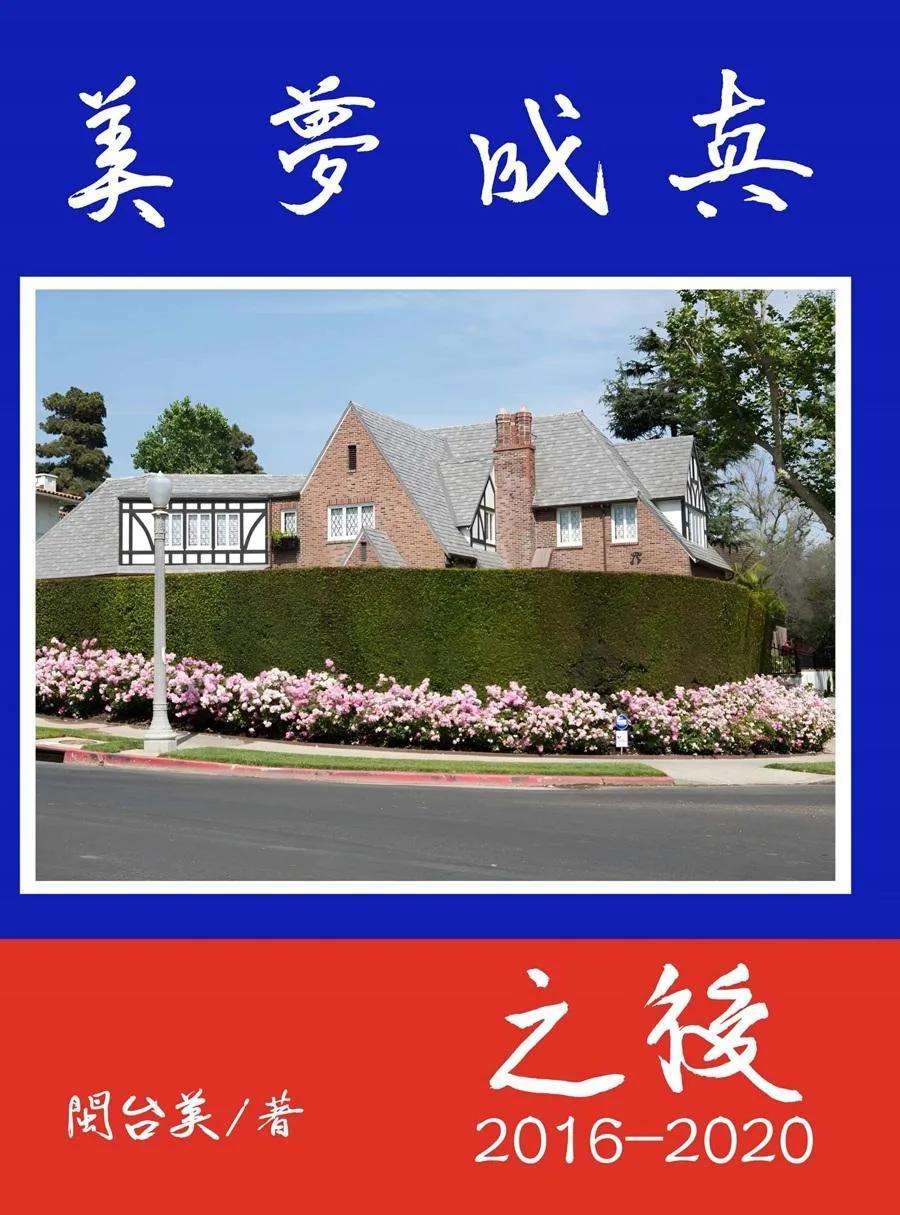 美夢成真之後2016-2020