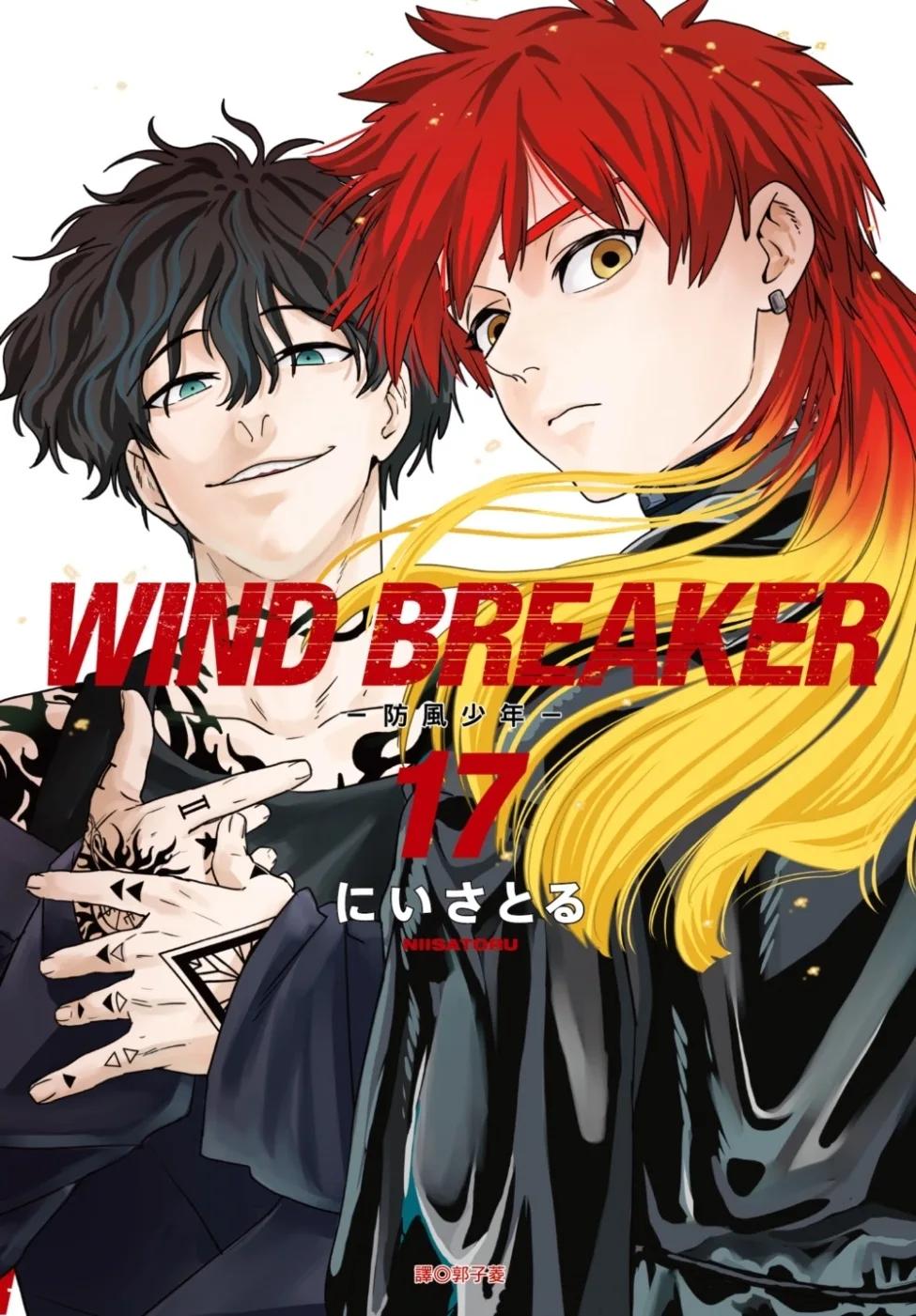 WIND BREAKER—防風少年—(17)