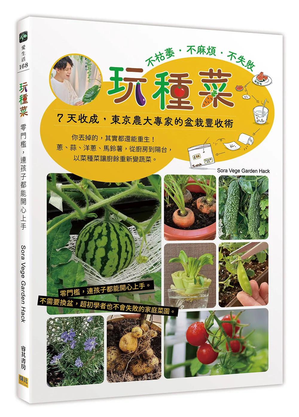 玩種菜：零門檻，連孩子都能開心上手