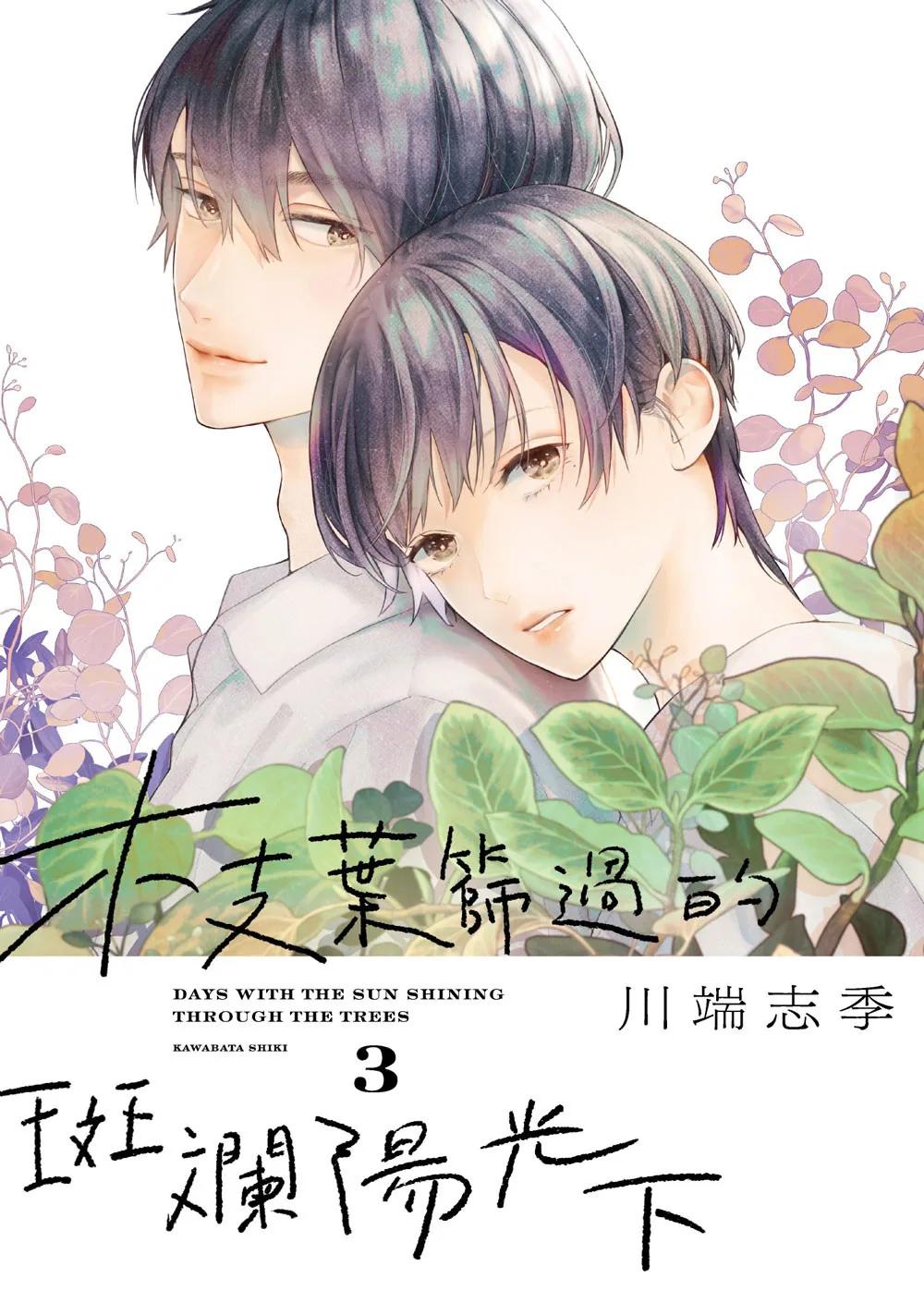枝葉篩過的斑斕陽光下 3