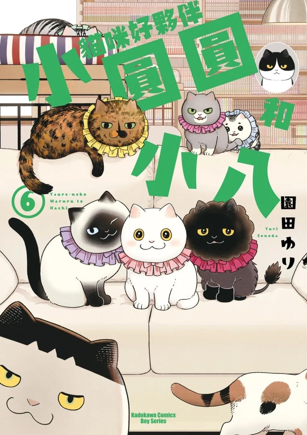 貓咪好夥伴小圓圓和小八 (6)