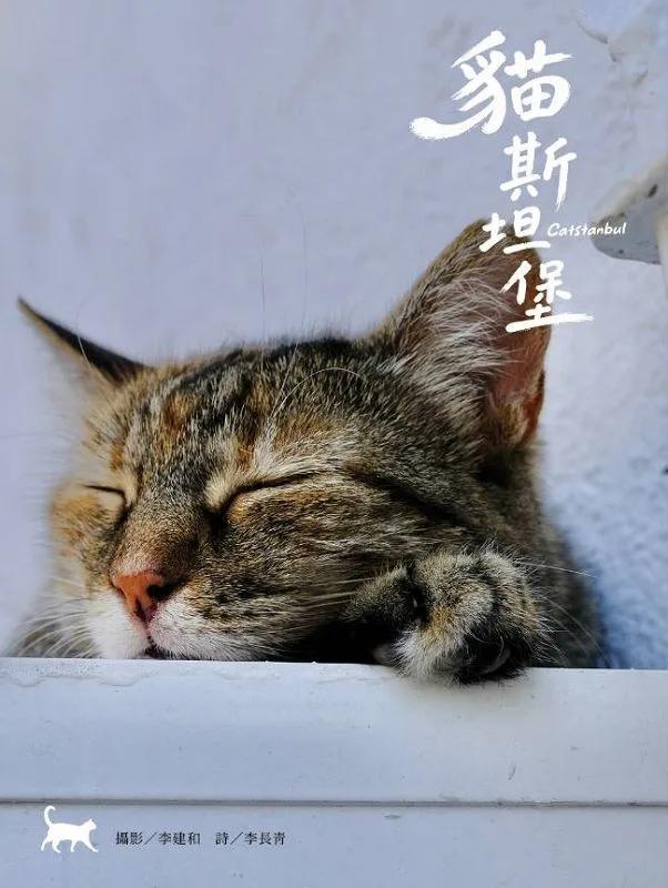 貓斯坦堡