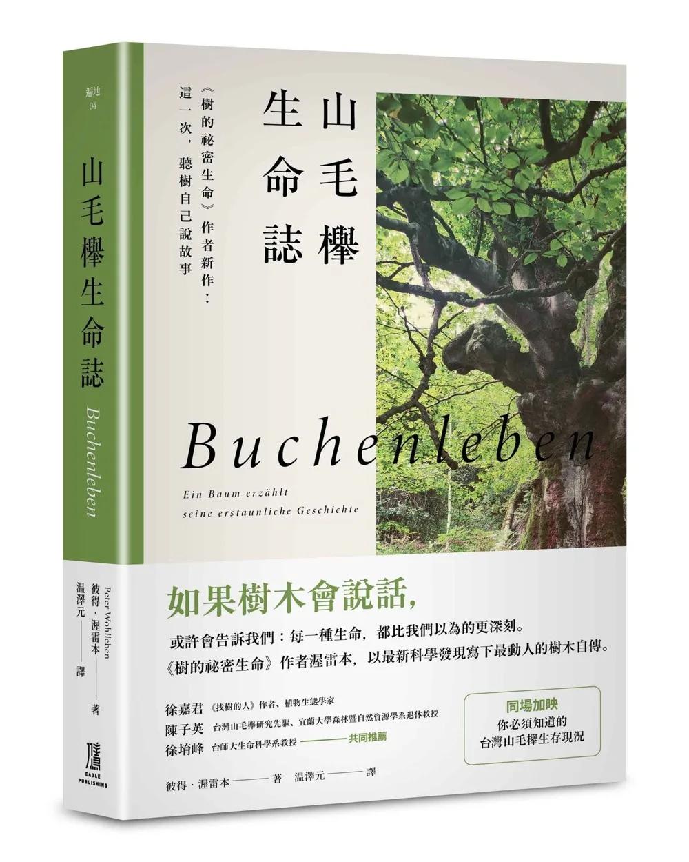 山毛櫸生命誌：《樹的祕密生命》作者新作：這一次，聽樹自己說故事