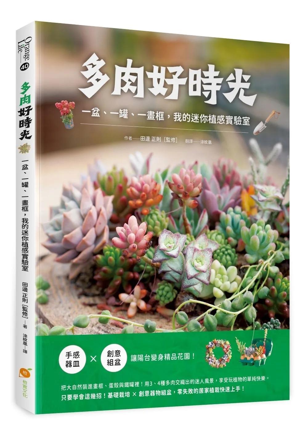 多肉好時光：一盆、一罐、一畫框，我的迷你植感實驗室